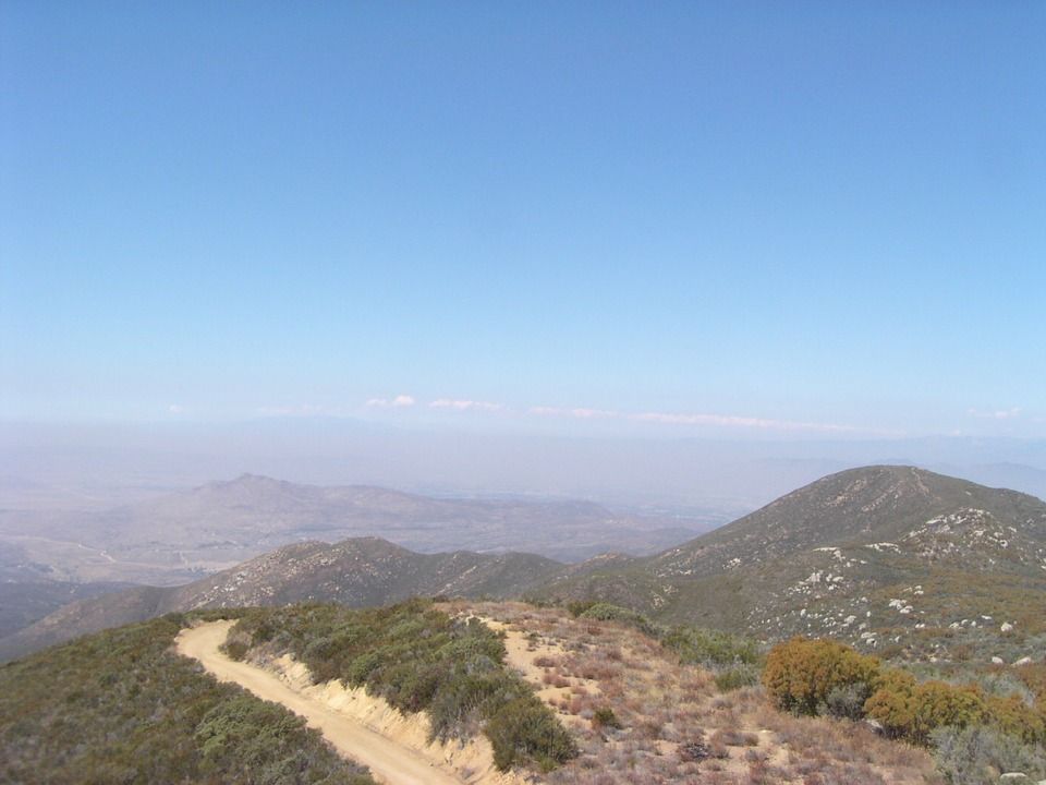 A ridge camera's anchor view with the automatically found vegetation and reference blocks marked